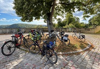 Fahrräder unter Baum